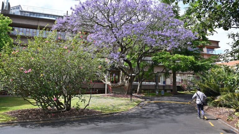 City Campus