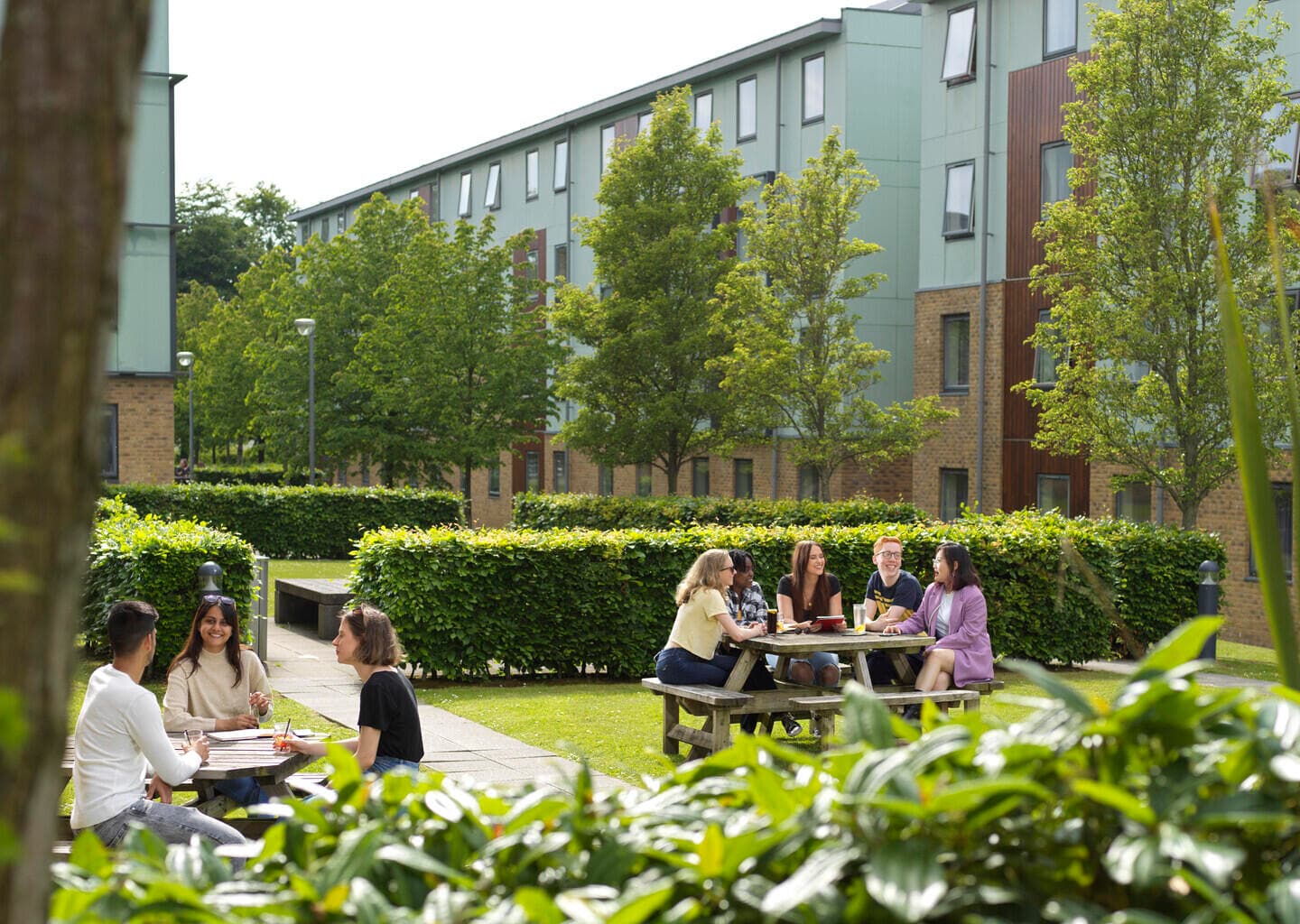 Campus photo