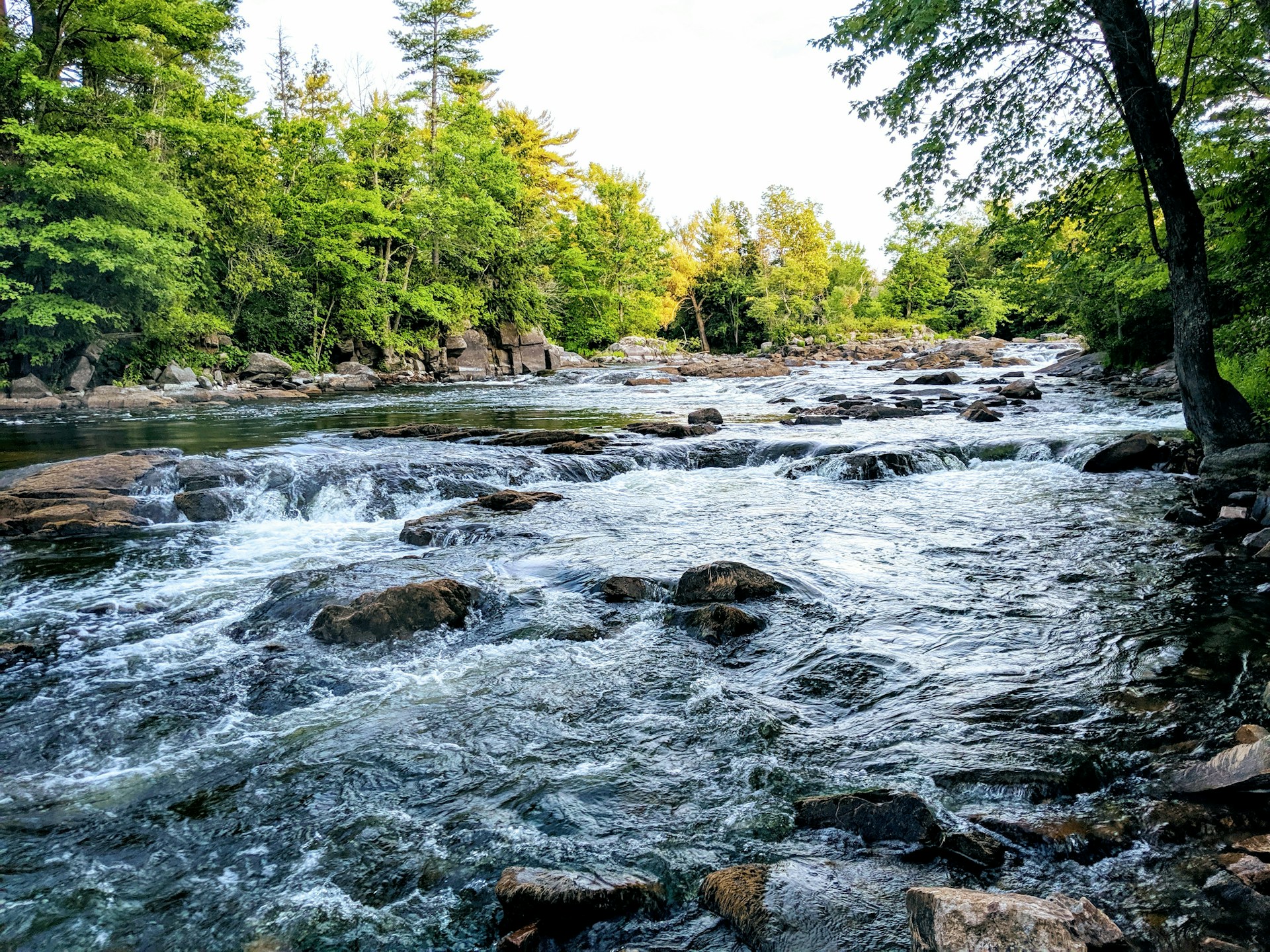 River or stream