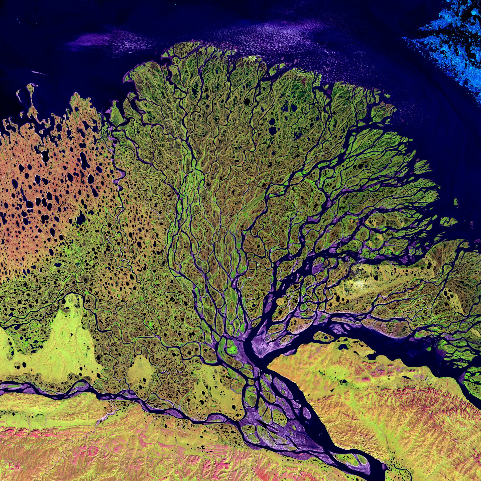 Lena Delta Reserve