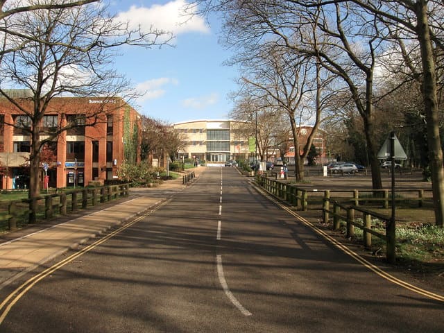 University of Sussex campus
